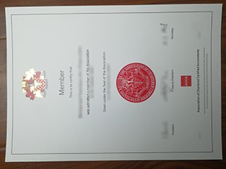 ACCA专业资格证书
