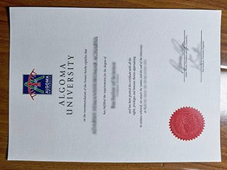 阿尔格玛大学毕业证书