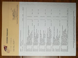 香港城市大學成績單