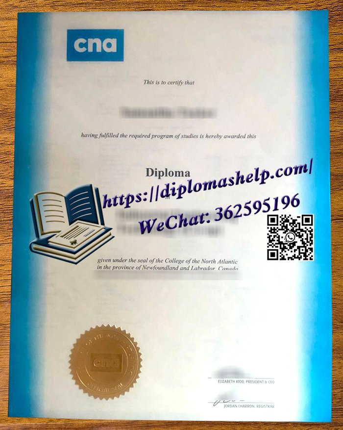 北大西洋学院文凭