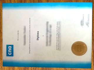 北大西洋学院毕业证书