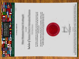 林国荣创意科技大学毕业证