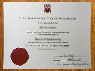 芬兰纪念大学学位证书