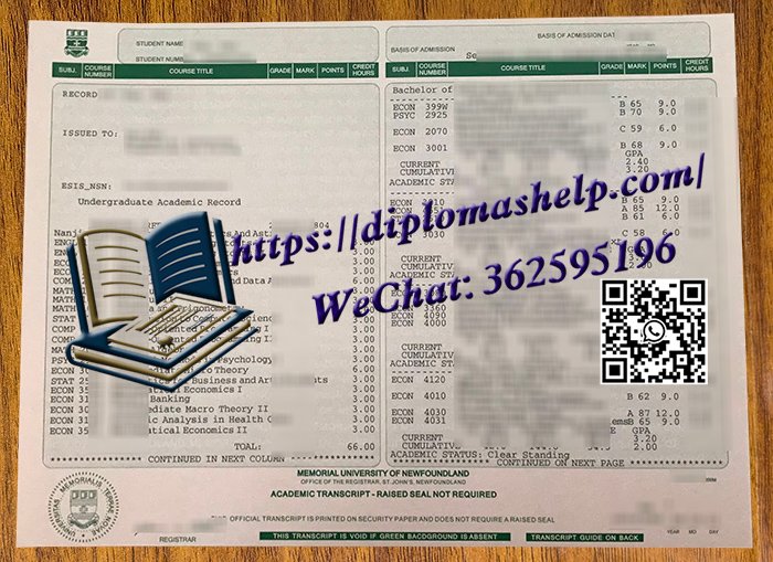 芬兰纪念大学成绩单