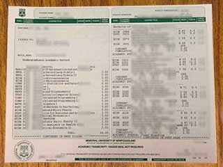 Memorial University of Newfoundland transcript