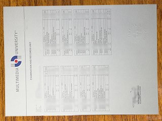 多媒体大学成绩单