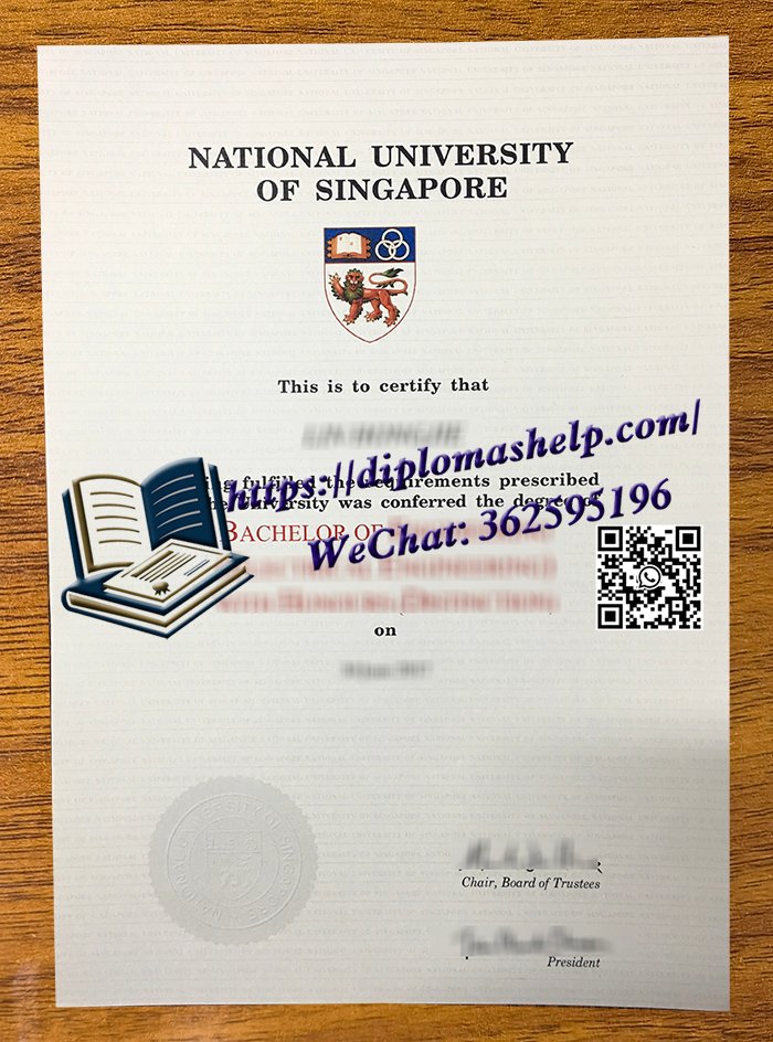 新加坡国立大学毕业证