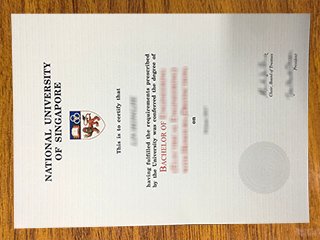 新加坡国立大学文凭