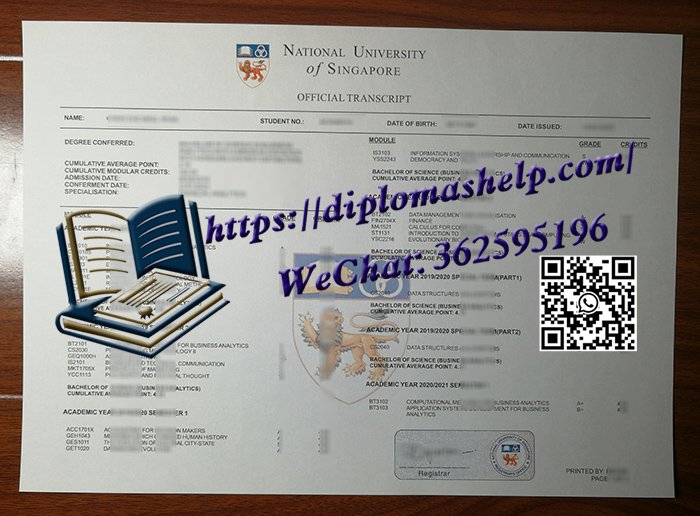 新加坡国立大学成绩单