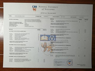 新加坡国立大学成绩单