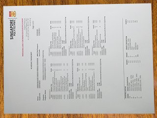 新加坡理工学成绩单