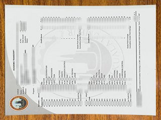 吉隆坡大学成绩单