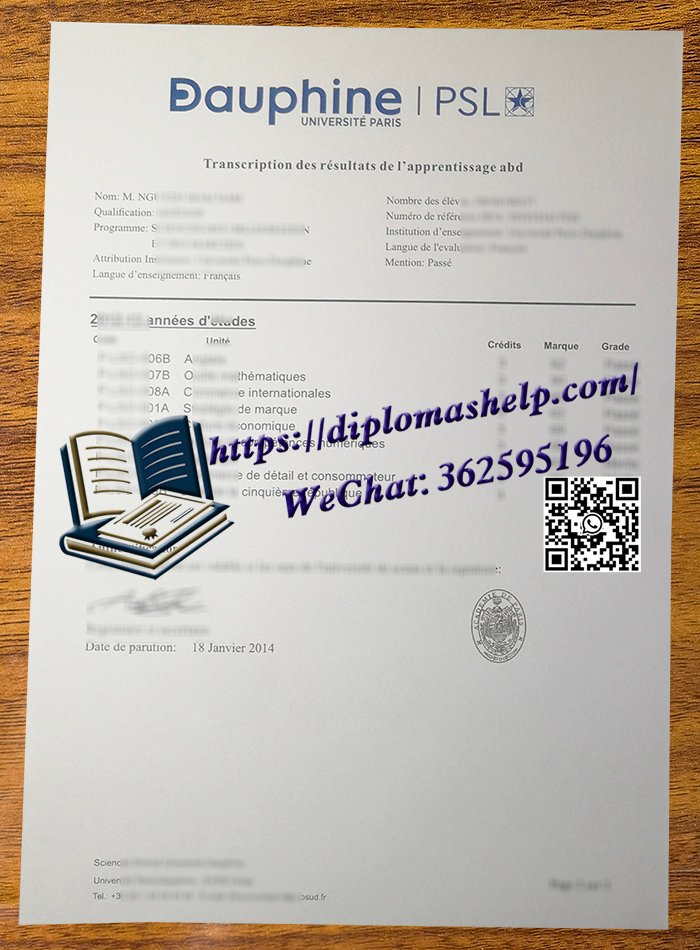 巴黎多菲纳大学成绩单