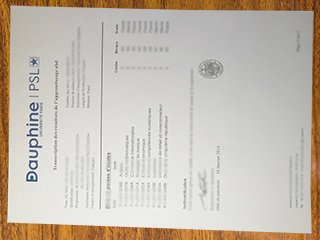 Université Paris Dauphine transcript
