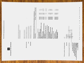 阿姆斯特丹大学成绩单