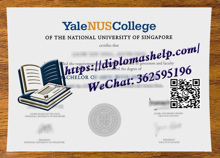 耶鲁-新加坡国立大学学院文凭