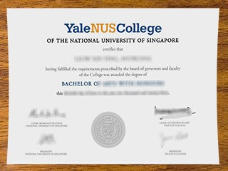 耶鲁-新加坡国立大学学院毕业证