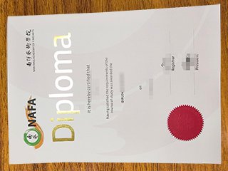 南洋艺术学院文凭