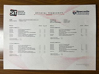 新加坡理工大学成绩单
