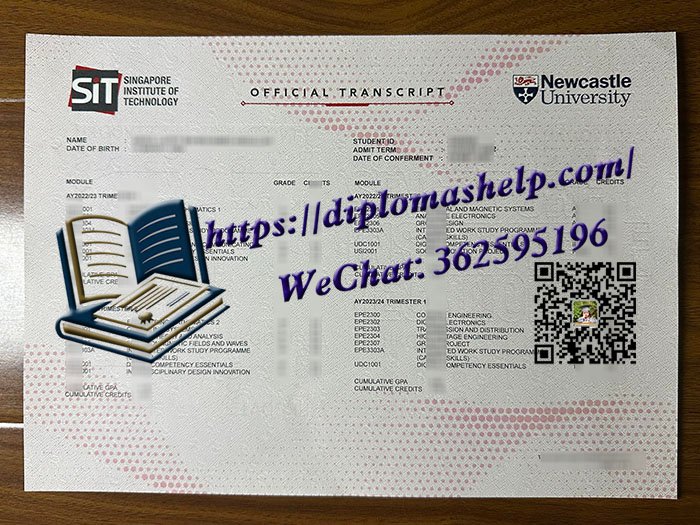 新加坡理工大学成绩单