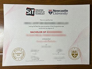 新加坡理工大学文凭