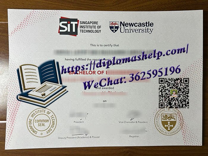 新加坡理工大学文凭