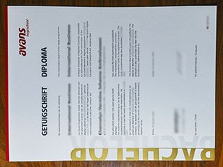 艾文思应用科学大学毕业证书