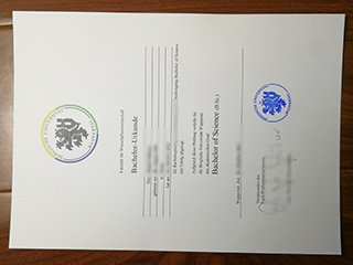 伍珀塔尔大学毕业证书