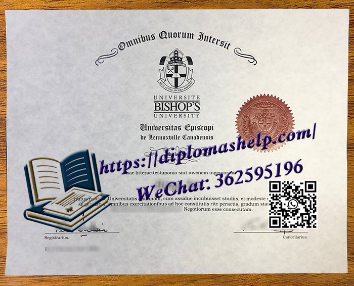 加拿大主教大学文凭