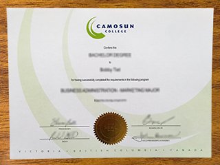 卡莫森学院文凭