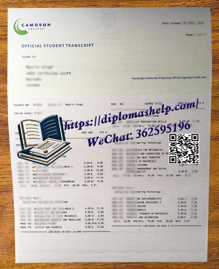 卡莫森学院成绩单