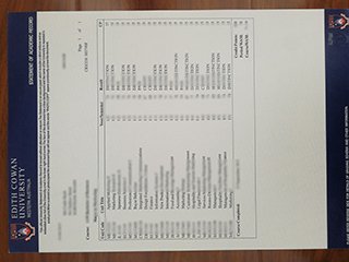 伊迪斯科文大学成绩单