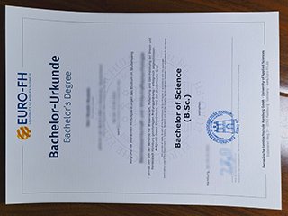 汉堡欧洲远程大学文凭
