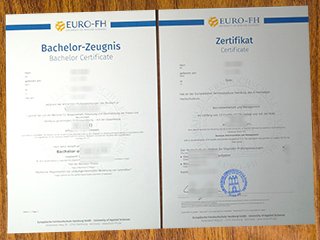 Europäische Fernhochschule Hamburg transcript
