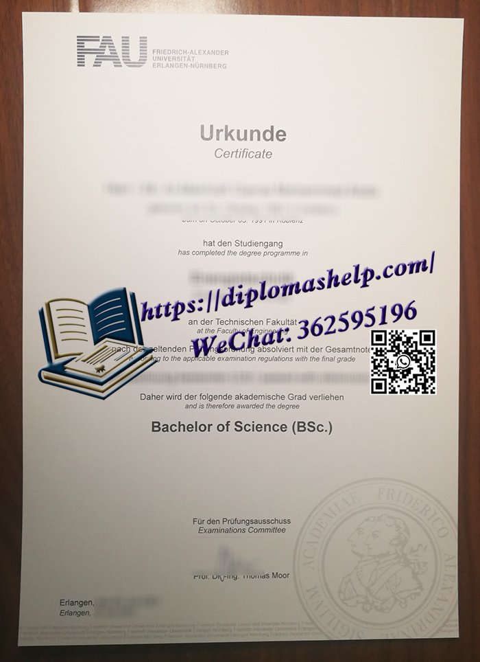 埃朗根-纽伦堡大学文凭