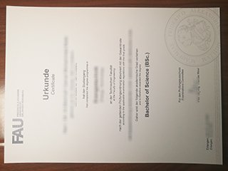 埃朗根-纽伦堡大学毕业证书