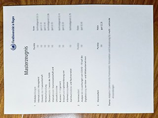 FernUniversität in Hagen transcript