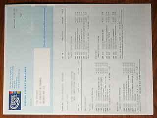 George Brown College transcript