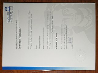 法兰克福大学文凭