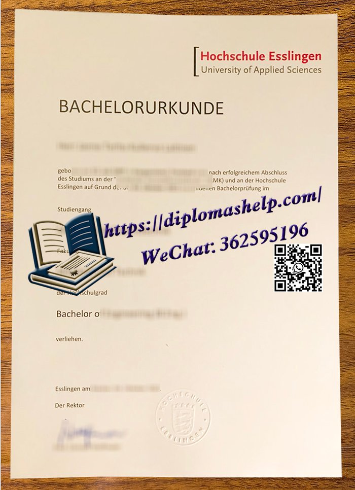 埃斯林根应用技术大学文凭