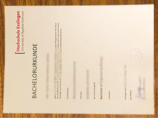 埃斯林根应用技术大学毕业证书
