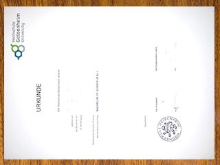 盖森海姆大学毕业证书