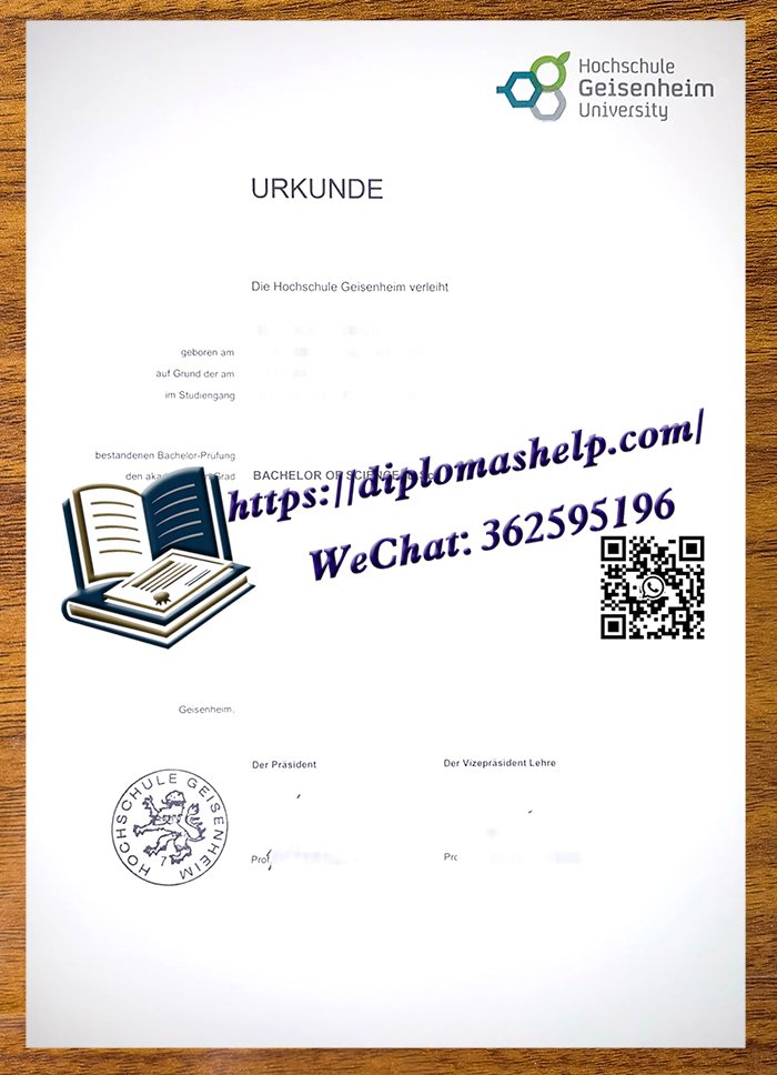 盖森海姆大学毕业证书