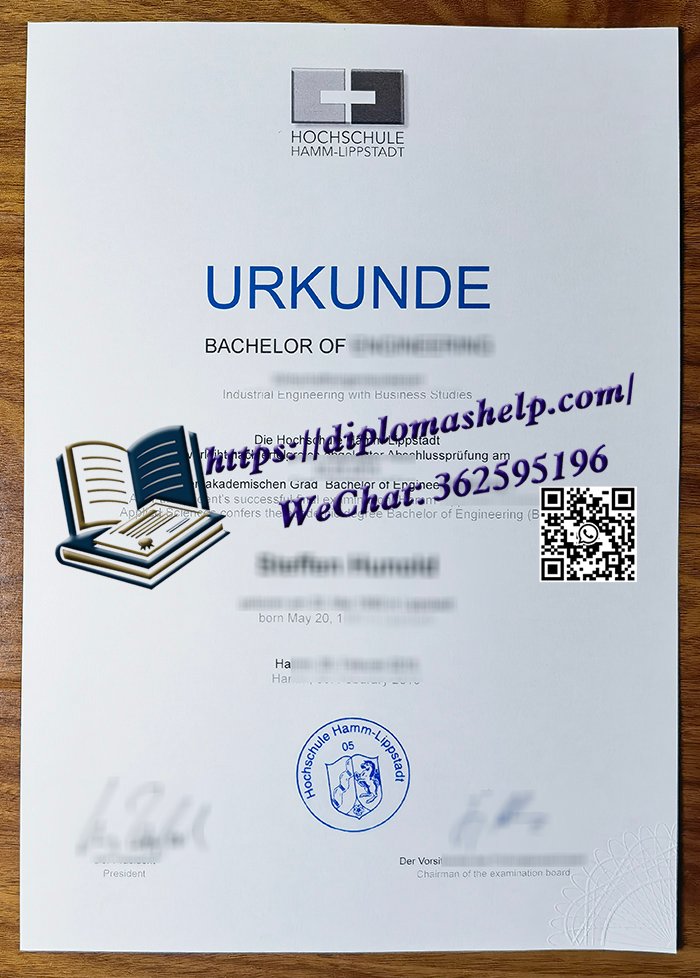 哈姆-利普斯达特应用科学大学文凭