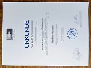 哈姆-利普斯达特应用科学大学毕业证书