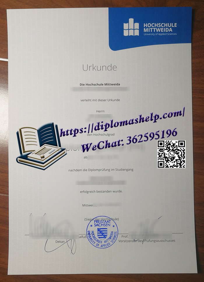 米特韦达应用技术大学文凭
