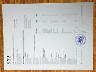 Hochschule Neu-Ulm transcript