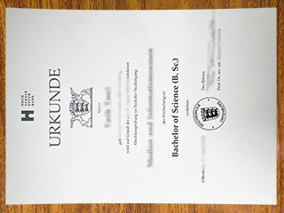 奥芬堡应用科学大学毕业证书