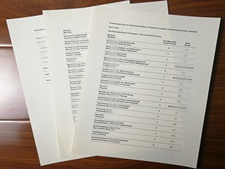 Hochschule Rhein-Waal transcript