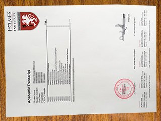 澳洲霍尔姆斯学院成绩单